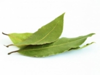 Očista pomocou bobkového listu zbavuje organizmus uložených solí