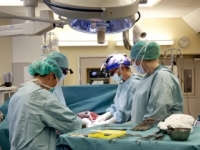 V USA urobili prvé transplantácie materníc od živých darkýň