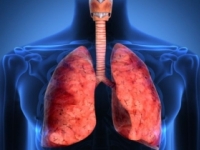 Chronická obštrukčná choroba pľúc trápi každého 10. Slováka